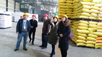 區(qū)畜牧獸醫(yī)局開展飼料企業(yè)安全生產(chǎn)節(jié)前大檢查 確保畜牧漁業(yè)飼料銷售安全