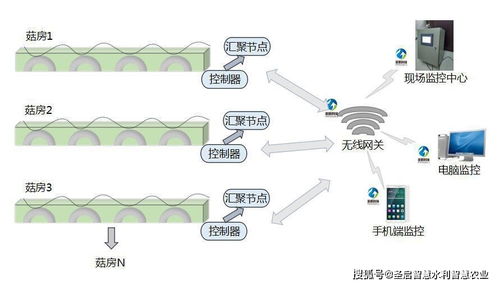 物聯(lián)網(wǎng)技術(shù)賦能產(chǎn)業(yè)升級(jí) 四川智能食用菌菇房管理系統(tǒng)助力精準(zhǔn)脫貧